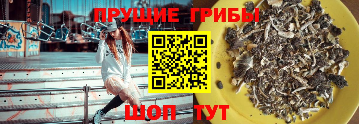 Псилоцибиновые грибы Magic Shrooms Абакан